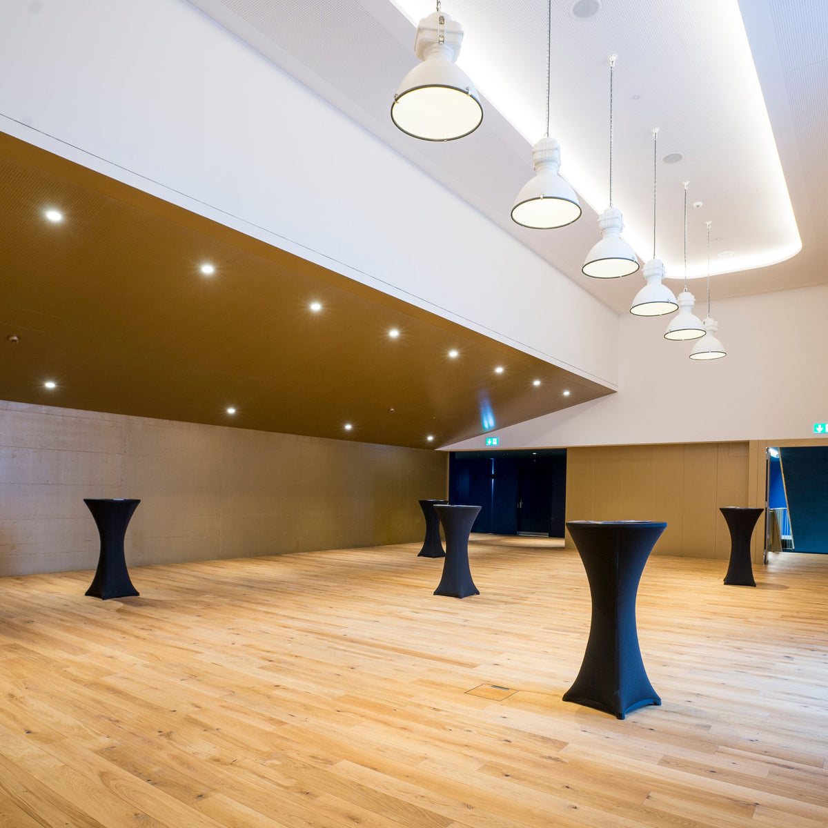 JU | Delémont | Cinemont Delémont : Multipurpose event space