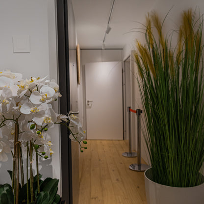 Elyon Hub - Salle STUDIO