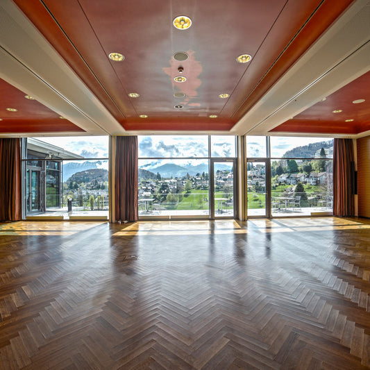 Hotel Eden Spiez : Salle de conférence et événements