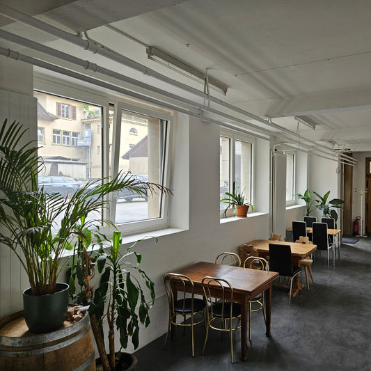 La bulle : journée complète