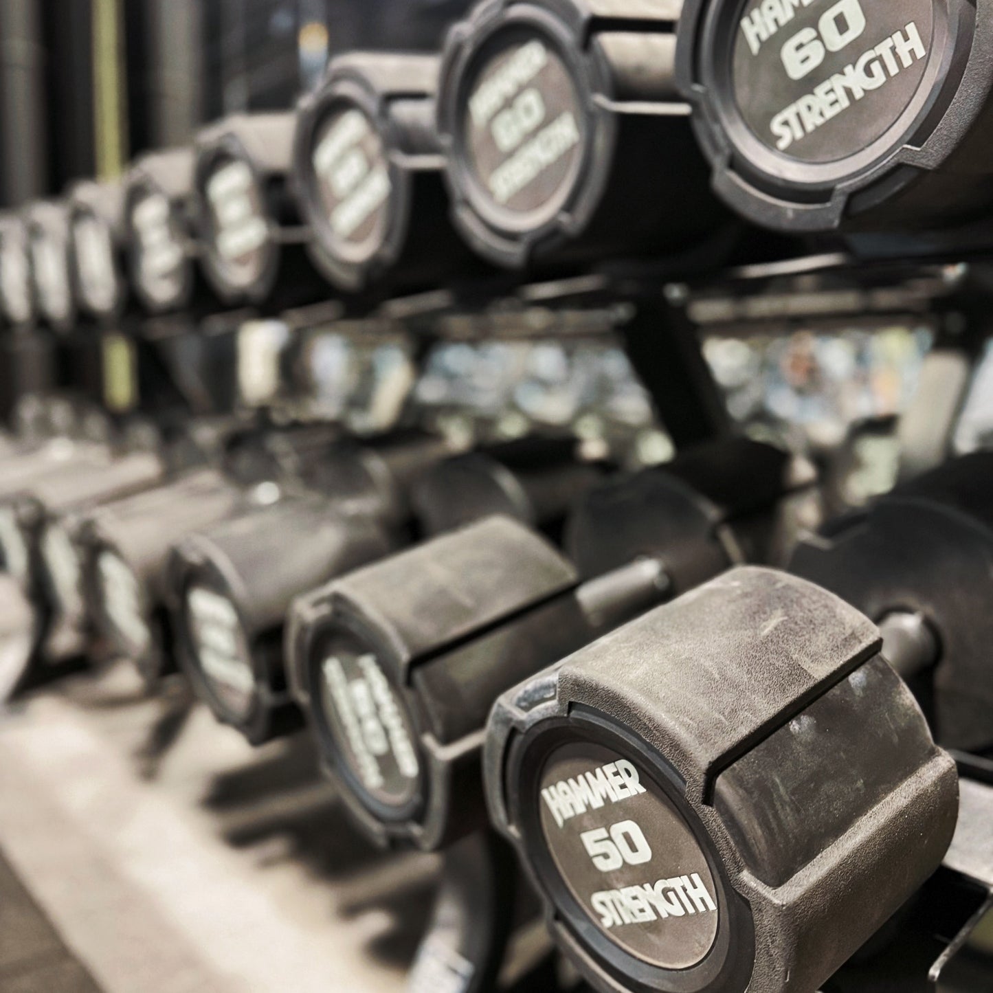 L.A : Coaching personnalisé