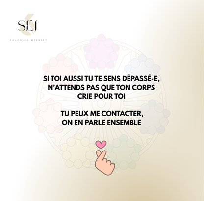 SEI Coaching : Le Stress sous contrôle