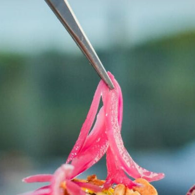 Yum Enjoy Traiteur : Demander une offre